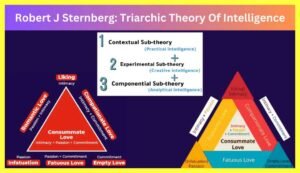 Robert-J-Sternberg-Theory-Of-Intelligence-In-Hindi-PDF-Notes