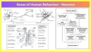 The-Bases-of-Human-Behaviour-Notes-in-Hindi