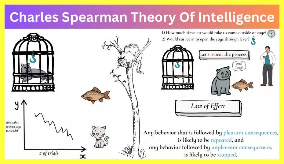 Thorndike-Theory-Of-Intelligence-Notes-In-Hindi