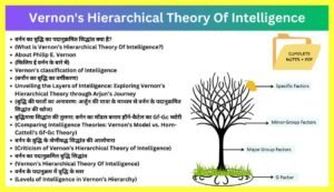 Vernon-Theory-Of-Intelligence-Notes-In-Hindi