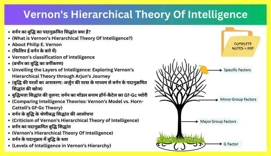 Vernon-Theory-Of-Intelligence-Notes-In-Hindi