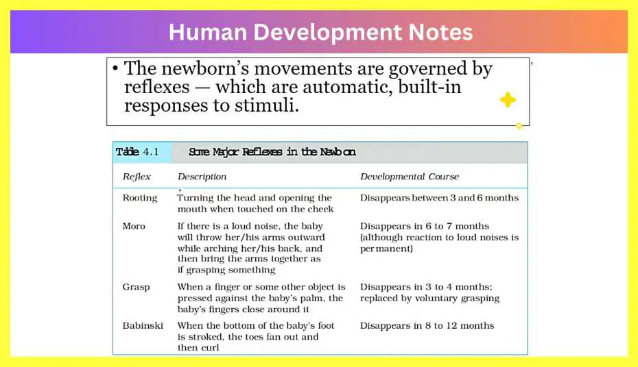 Human-Development-Notes-in-Hindi