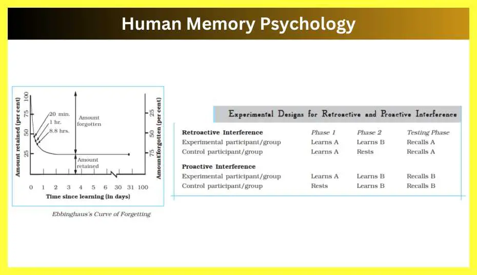 Human-Memory-Psychology-Notes-In-Hindi