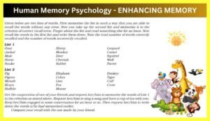 Human-Memory-Psychology-Notes-In-Hindi