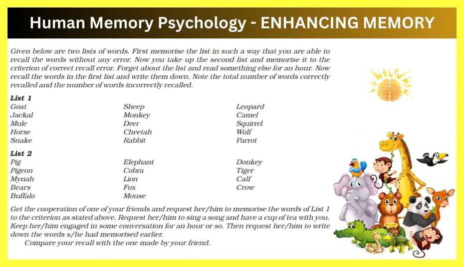 Human-Memory-Psychology-Notes-In-Hindi