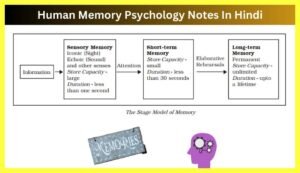 Human-Memory-Psychology-Notes-In-Hindi