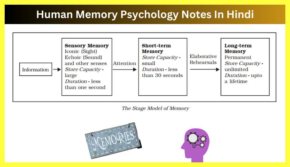 Human-Memory-Psychology-Notes-In-Hindi