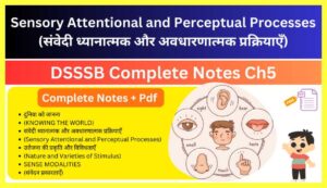 Sensory-Attentional-and-Perceptual-Processes-Notes-in-Hindi