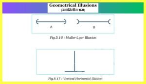 Geometrical-Illusions