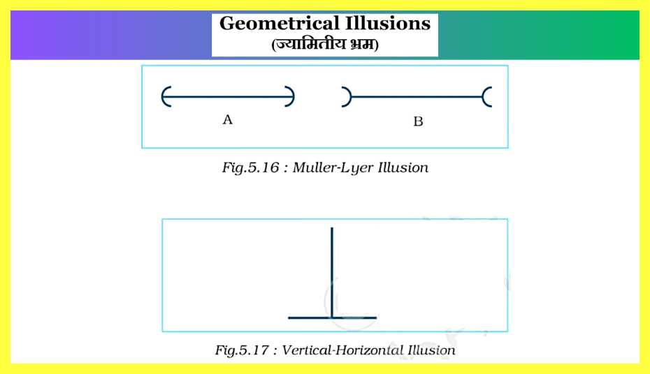 Geometrical-Illusions