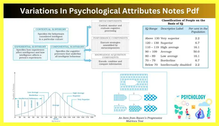 Variations-In-Psychological-Attributes-Notes-Pdf-in-Hindi